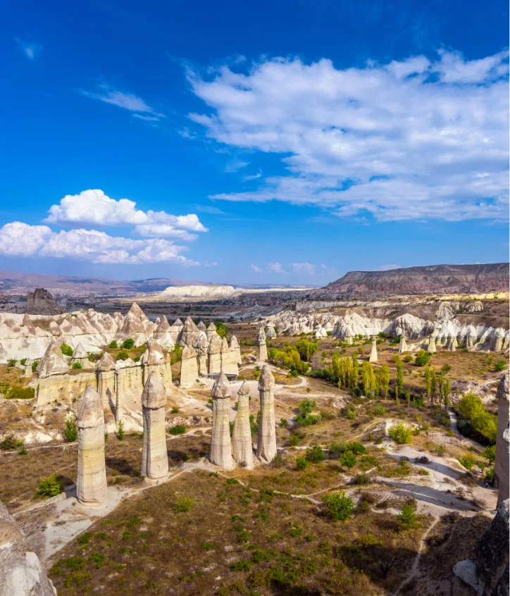 doğa ve sürdürülebilirlik